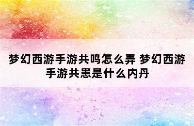 梦幻西游手游共鸣怎么弄 梦幻西游手游共患是什么内丹